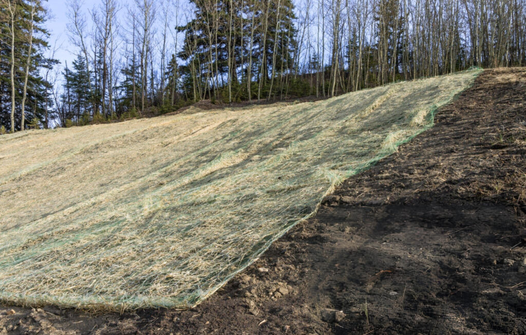 Soil Stabilization in Thomasville, GA